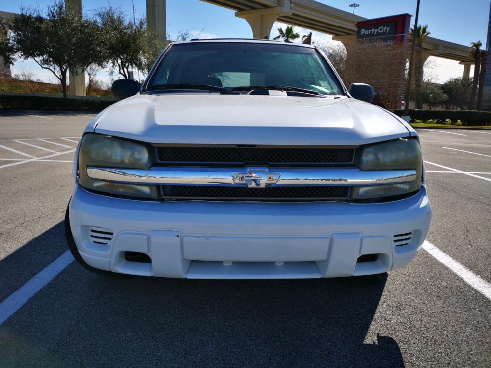 2002 White Chevrolet TrailBlazer LS 2WD (1GNDS13S322) with an 4.2L L6 DOHC 24V engine, 4-Speed Automatic Overdrive transmission, located at 5005 Telephone Rd., Houston, TX, 77087, (713) 641-0980, 29.690666, -95.298683 - Photo #1